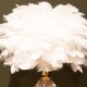 Raya led base feather lamp white 40cm
