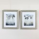 Framed print curious chatter 58 x 50 cm 2 asst