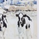 Framed print curious chatter 58 x 50 cm 2 asst
