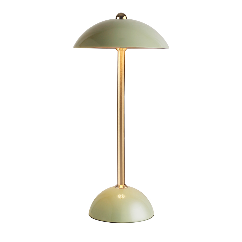 Apollo usb rechargeable lamp olive green