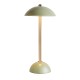 Apollo usb rechargeable lamp olive green