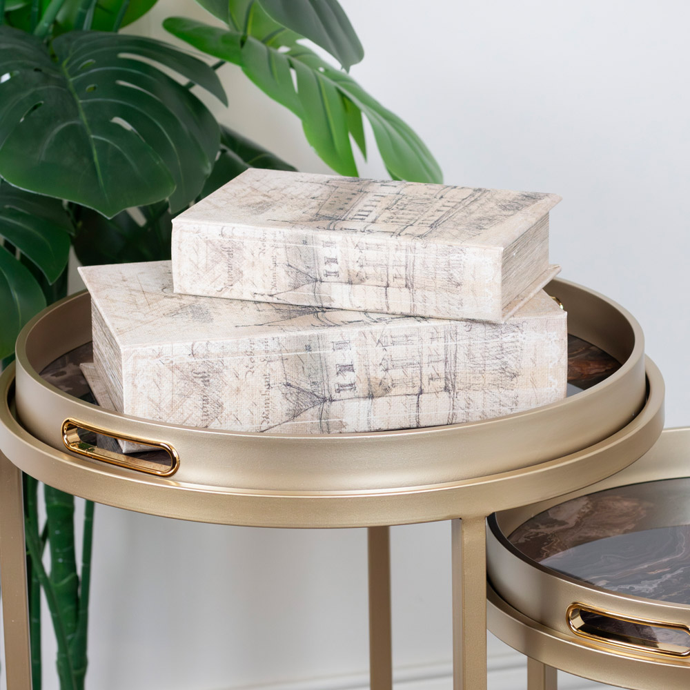 Nyra s/2 tray tables gold