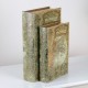 Voyage s/2 book box