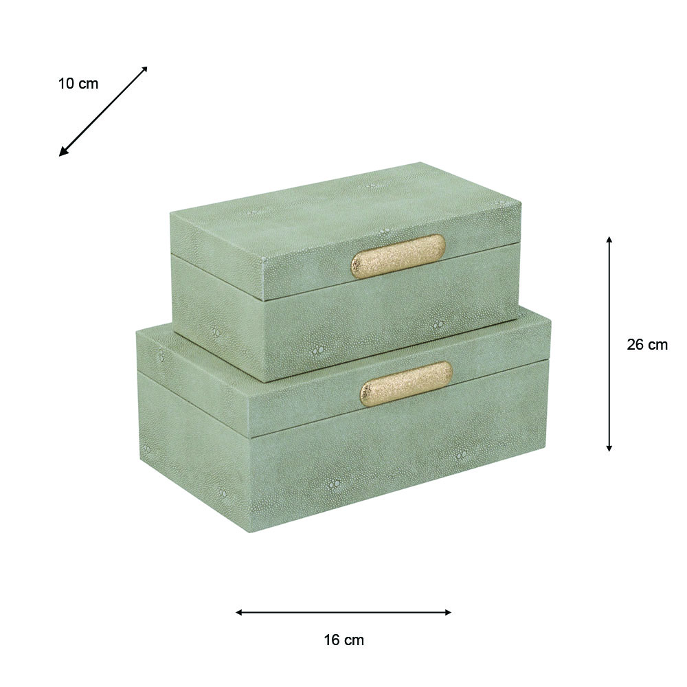 Decorative s/2 boxes oyster