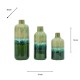 S/3 bliss vases 