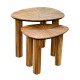 Ray s/2 side tables ginger teak 