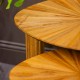 Ray s/2 side tables ginger teak 