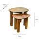 Ray s/2 side tables ginger teak 