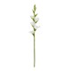 Realtouch gladiolous stem white 83cm
