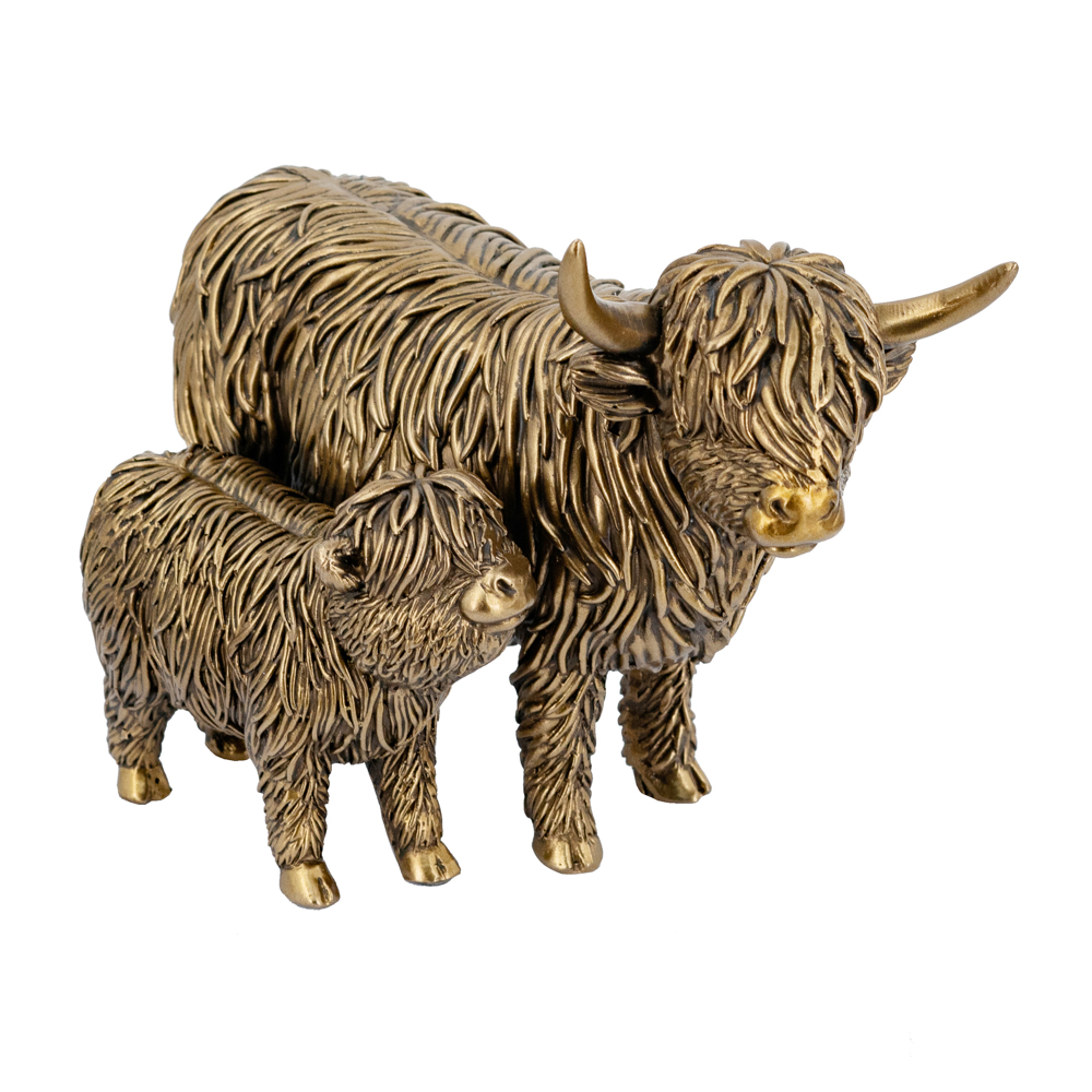 Highland cows  