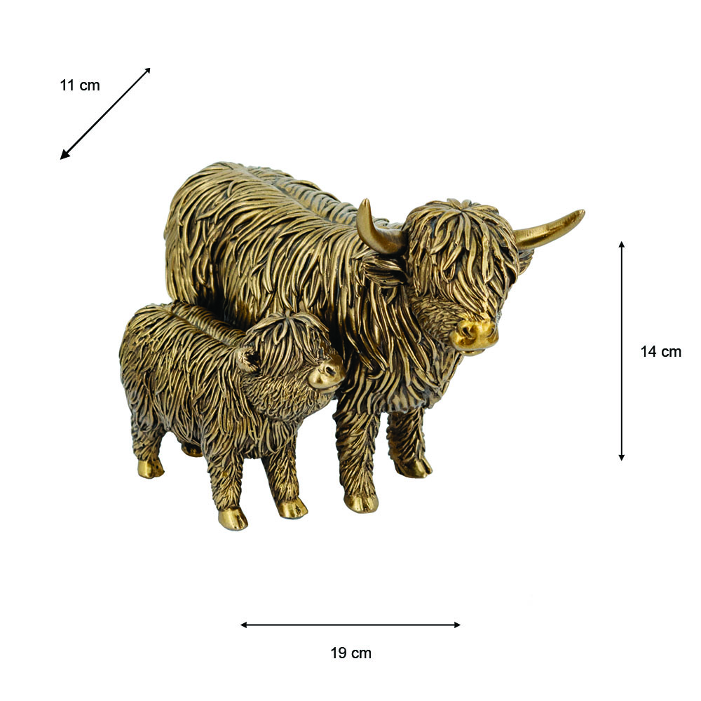 Highland cows  