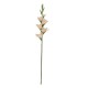 Realtouch gladiolous stem peach 86cm