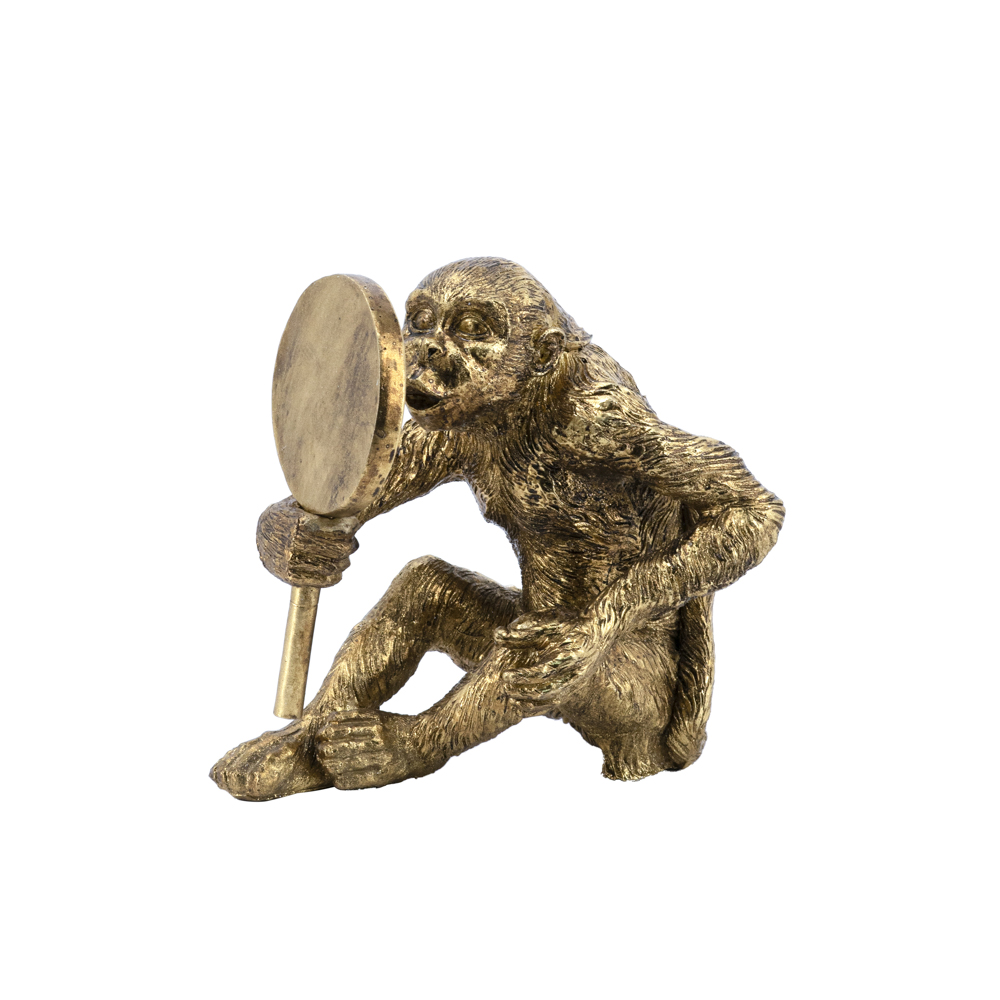 Monkey with mirror