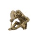 Monkey with mirror