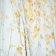 Framed print amber leaves 80x80cm