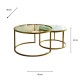 Salzburg s/2 marble/glass coffee tables