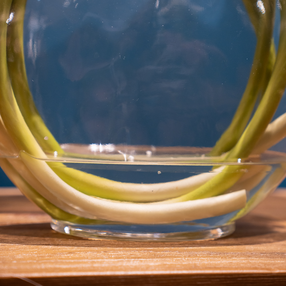 Real touch lillies looped stem vase with faux water 50cm
