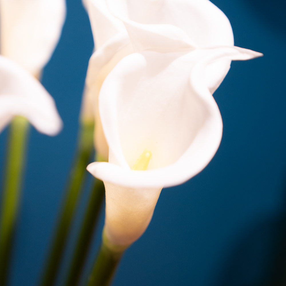 Real touch calla lillies vase with faux water 60cm