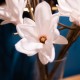 Real touch magnolia vase with faux water 97cm