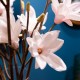Real touch magnolia vase with faux water 97cm
