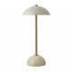 Apollo usb rechargeable lamp matt olive