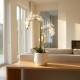 Potted orchid white 55cm