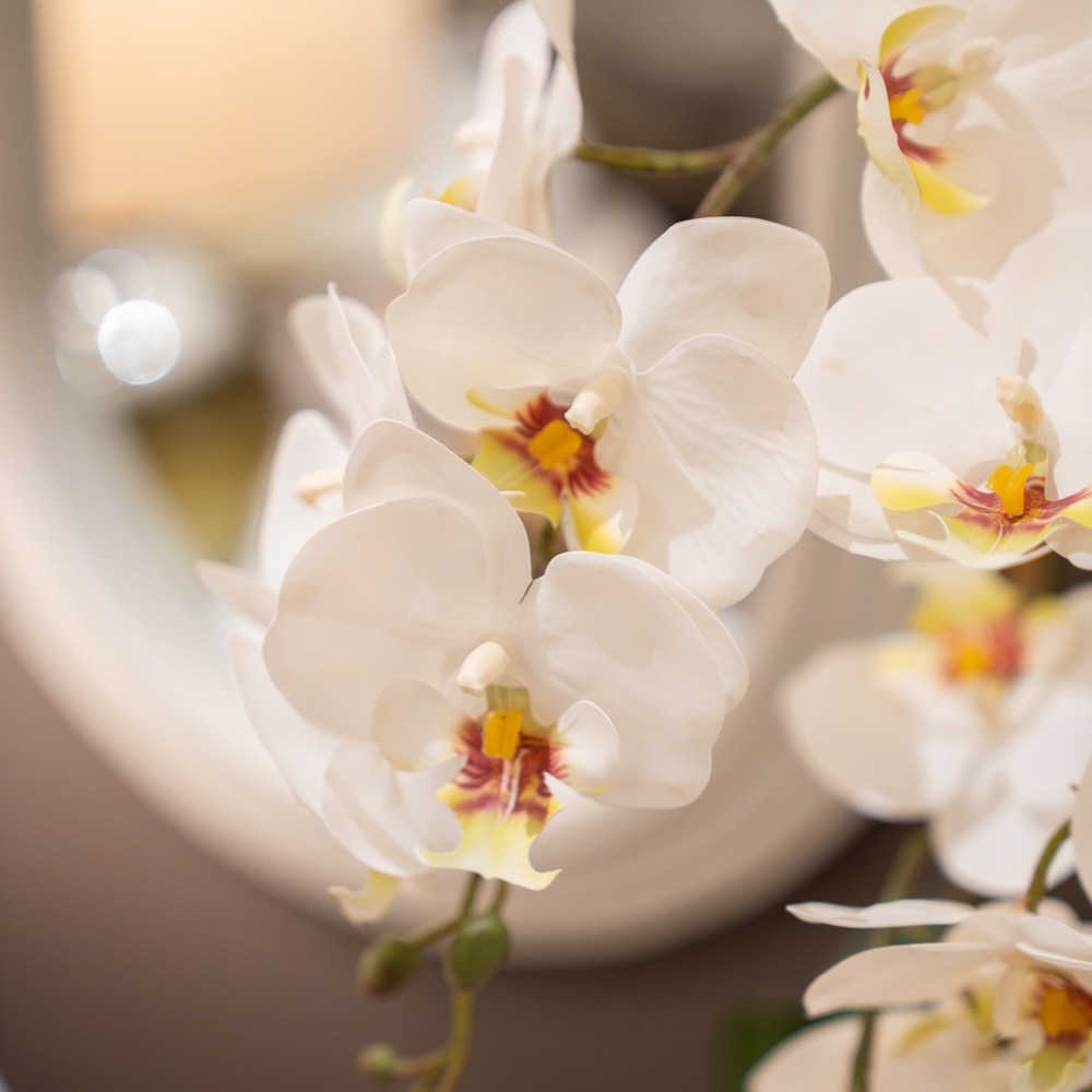 Potted orchid white 55cm