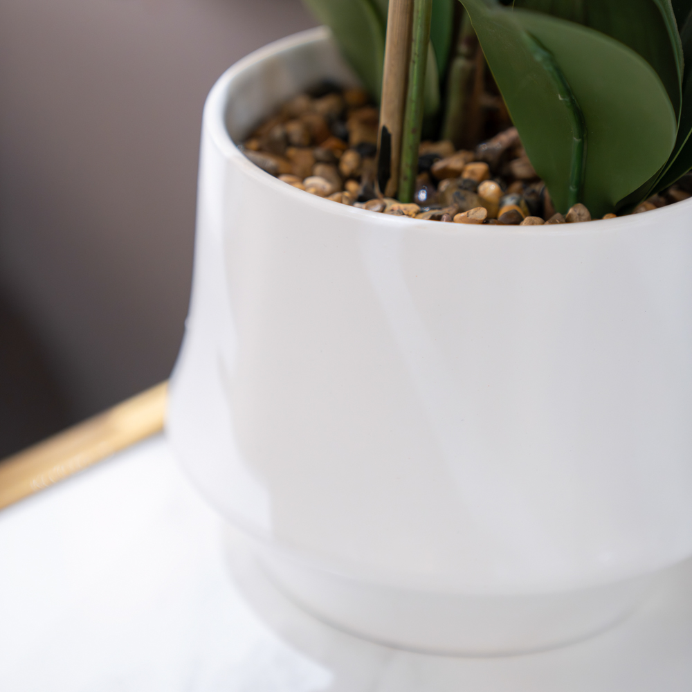 Potted orchid white 55cm