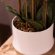 Potted orchid white 82cm