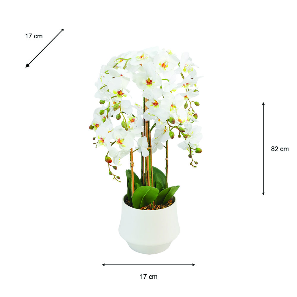 Potted orchid white 82cm