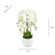 Potted orchid white 82cm