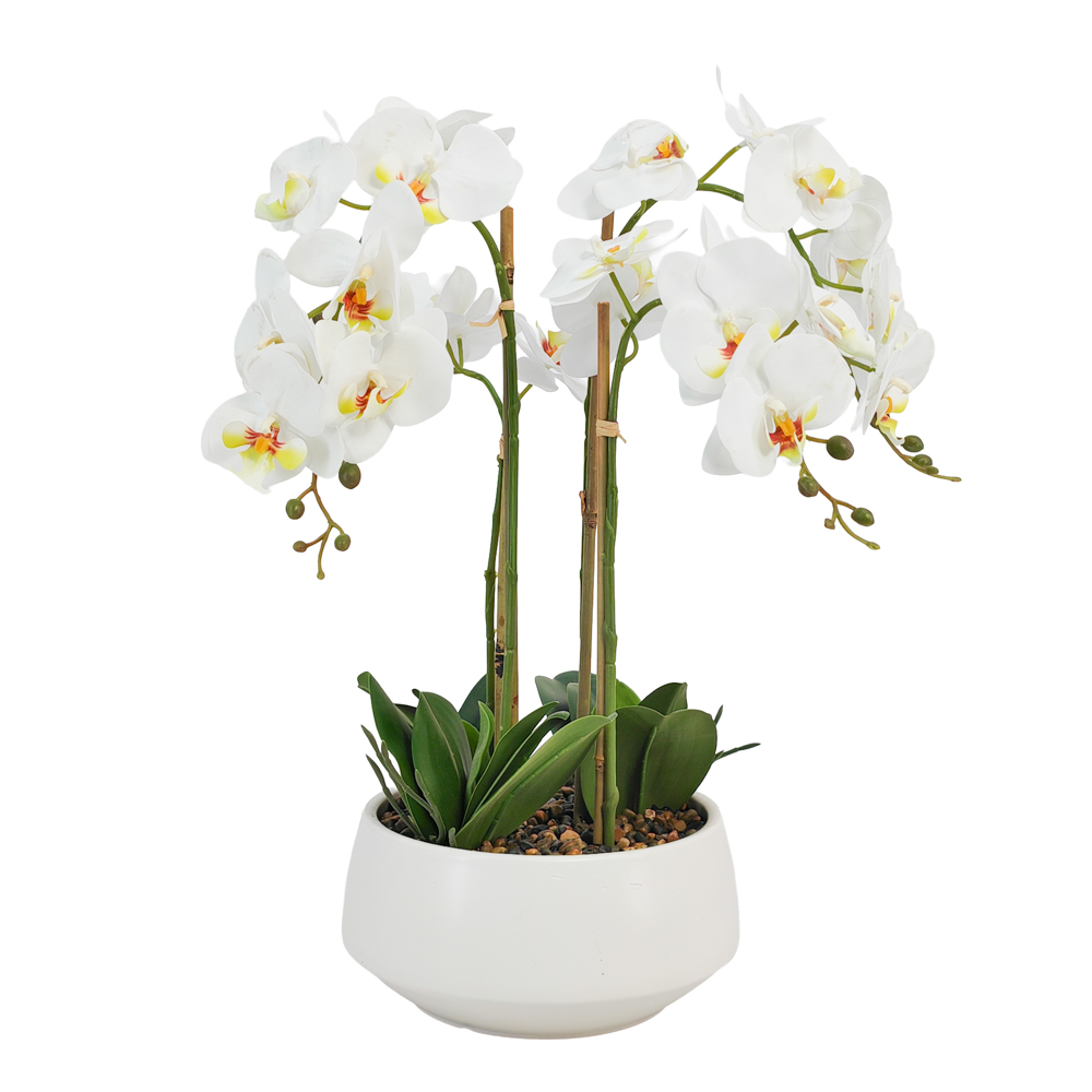 Potted orchid white 53cm