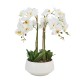 Potted orchid white 53cm