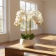 Potted orchid white 53cm