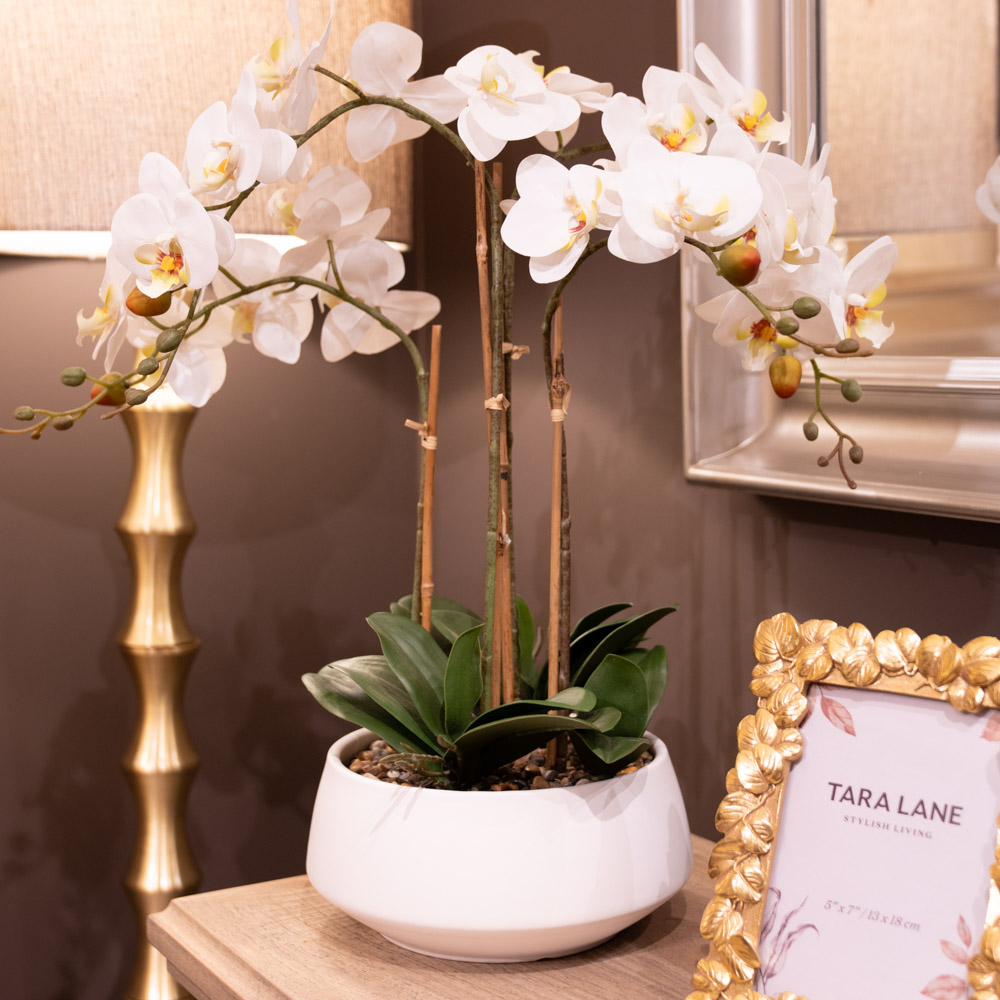 Potted orchid white 53cm