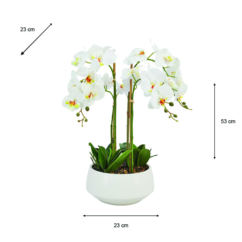 Potted orchid white 53cm