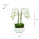 Potted orchid white 53cm