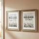 Framed print ash forest/oak woodlands 2 asst