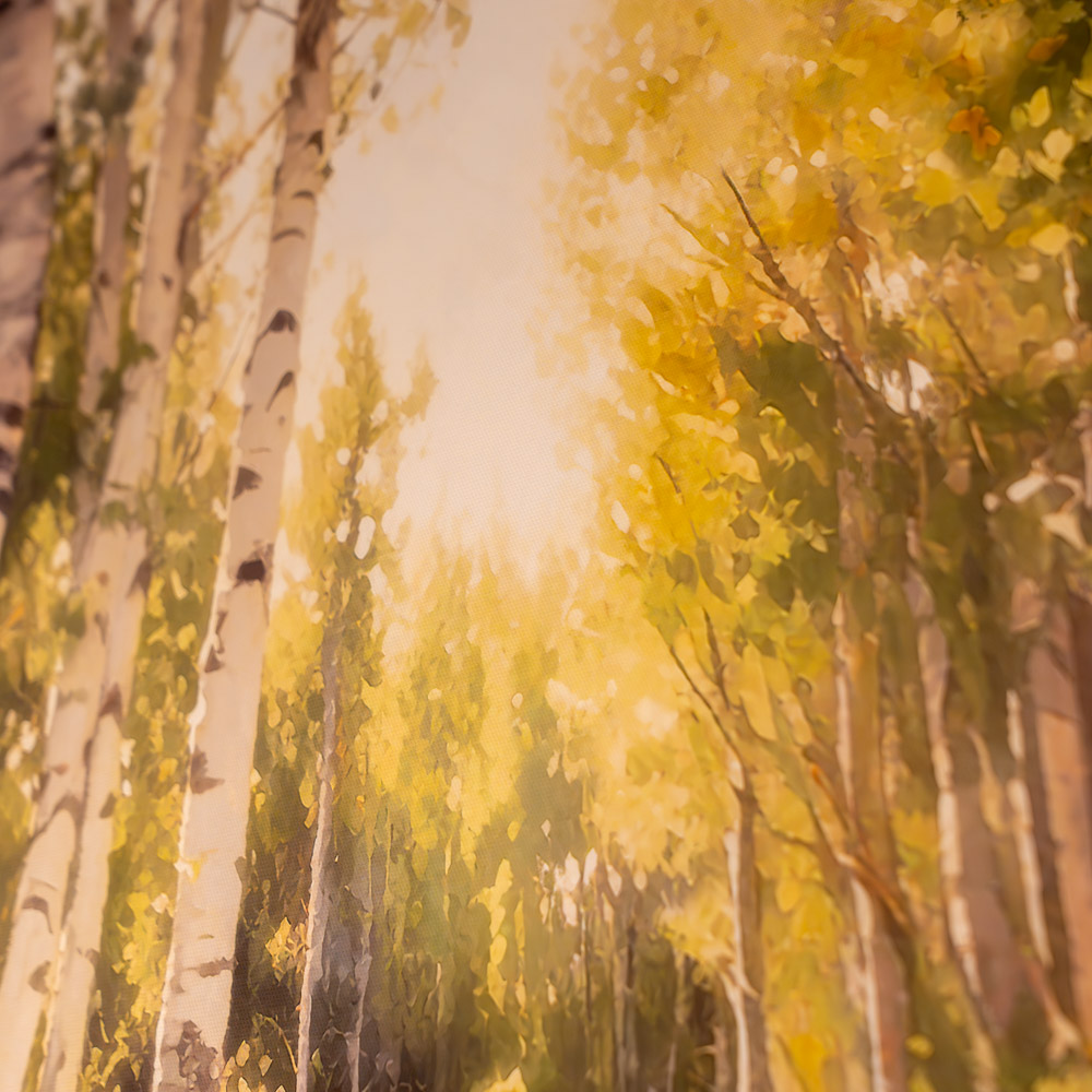 Framed canvas dream in green 80x100cm