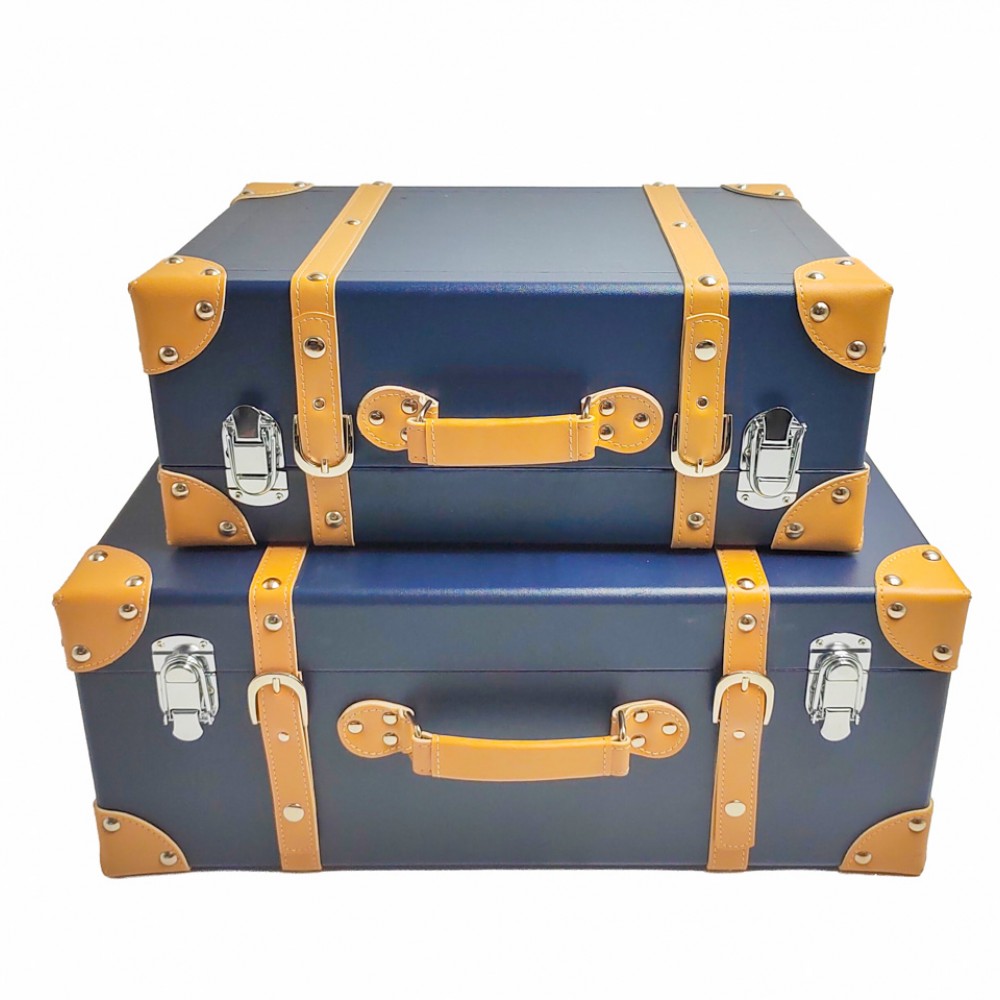 Voyage s/2 trunk cases