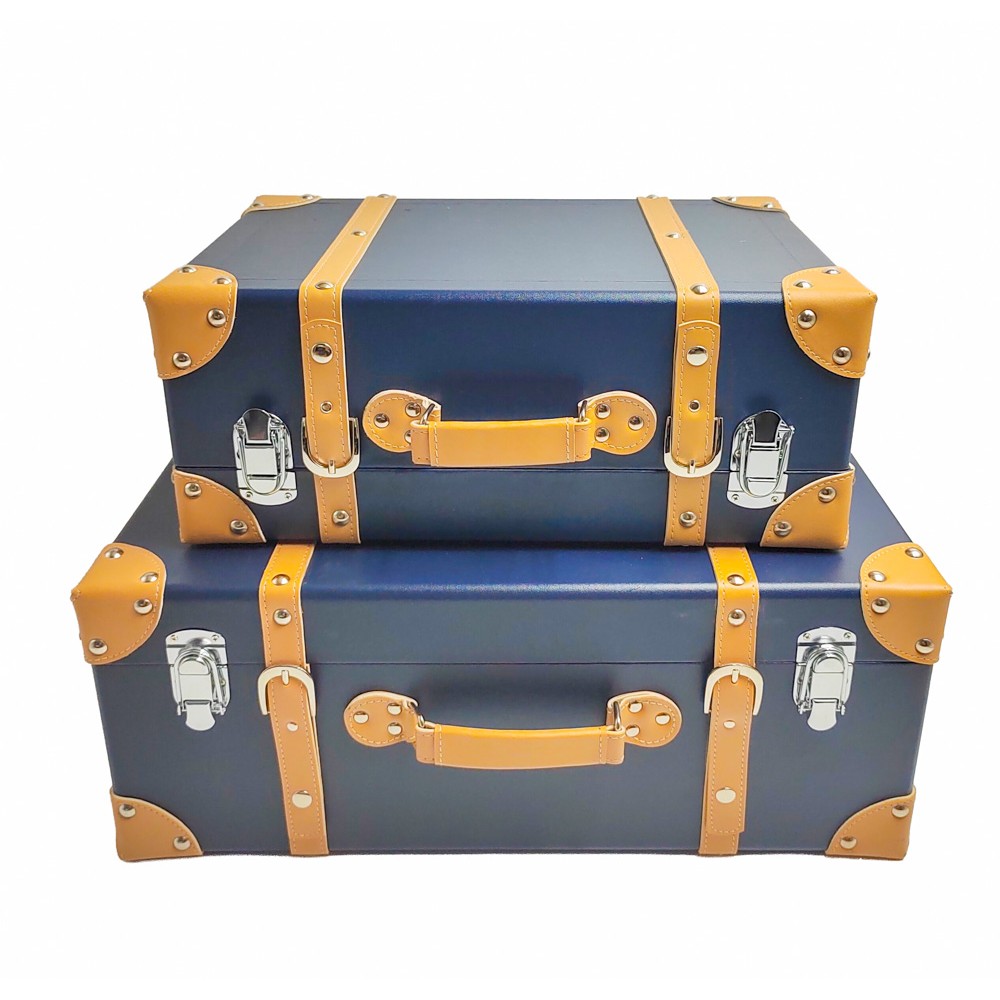 Voyage s/2 trunk cases