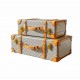 Voyage s/2 trunk cases